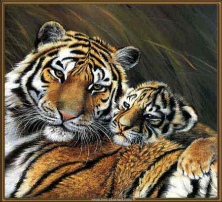 les tigre